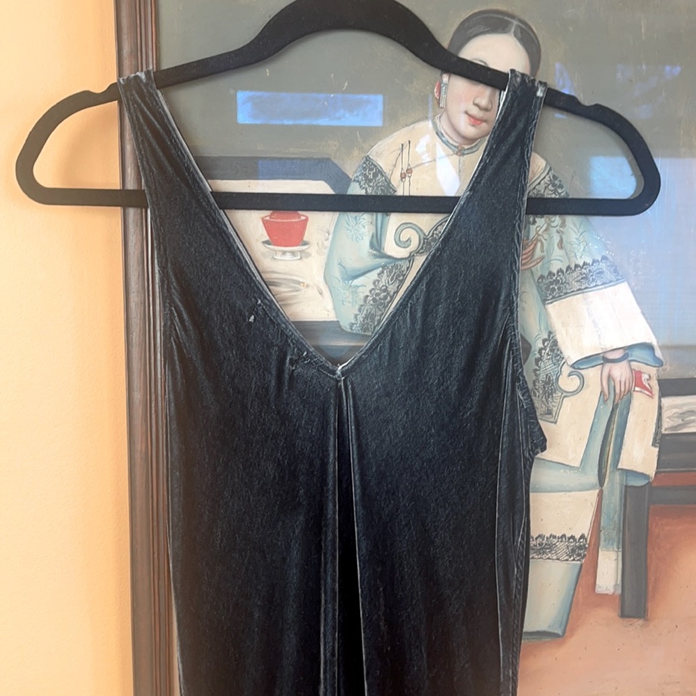 CP Shades Bias Cut Dress
